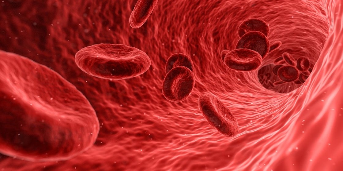IHY_Sintomi_malattie_cardiovascolari_infarto_cardiologia_Gianturco_cuore_angina_breathless_cardiopalma