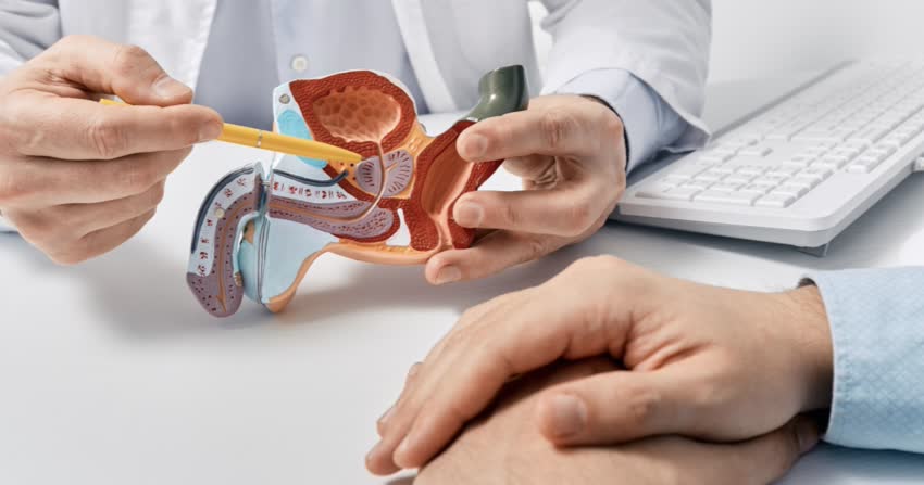 Close up medico che mostra modellino anatomico prostata a paziente