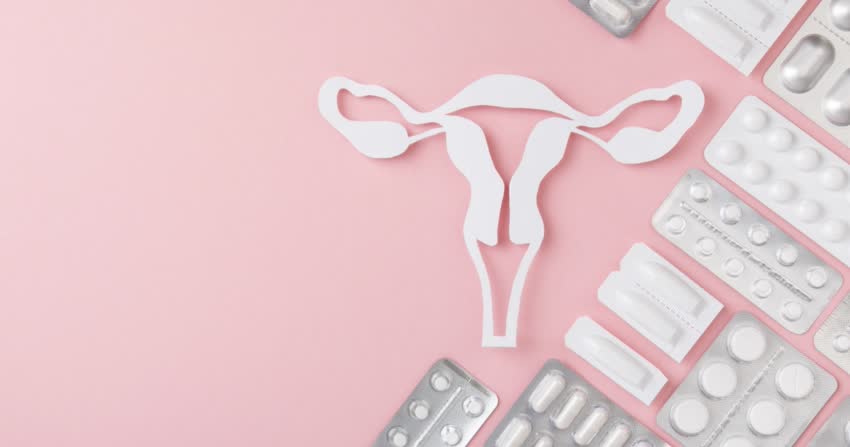 modellino anatomico apparato riproduttivo femminile e ovuli per candida