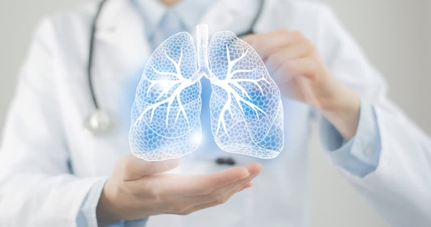 Medico con tiene per le mani un modellino 3D dei polmoni con bronchi in evidenza