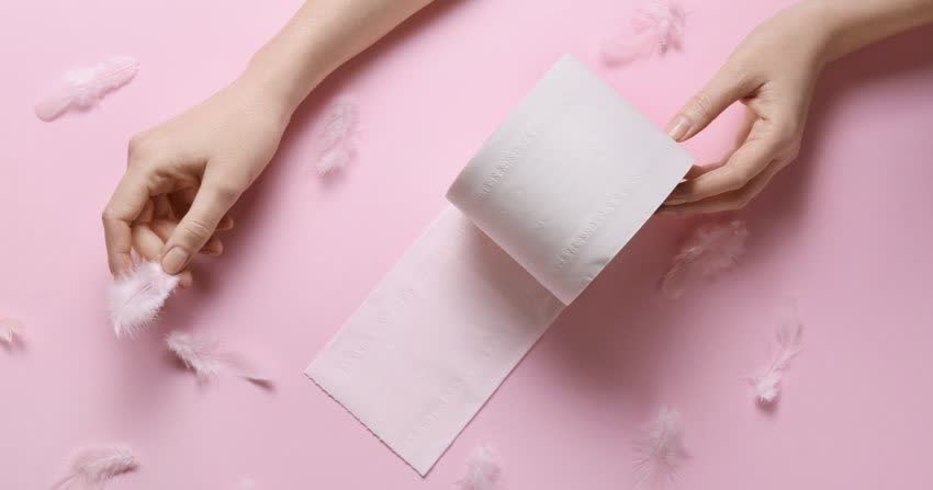 Mani femminile su sfondo rosa con carta igienica e piume a simboleggiare delicatezza