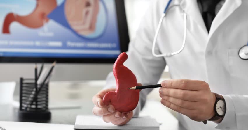 Gastroenterologo che mostra un modellino 2D di stomaco per indicare la sede della gastrite
