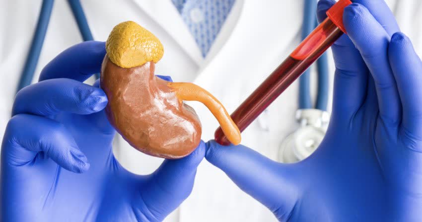 Mani di un medico che reggono un modellino di rene e un campione di sangue per test della creatinina