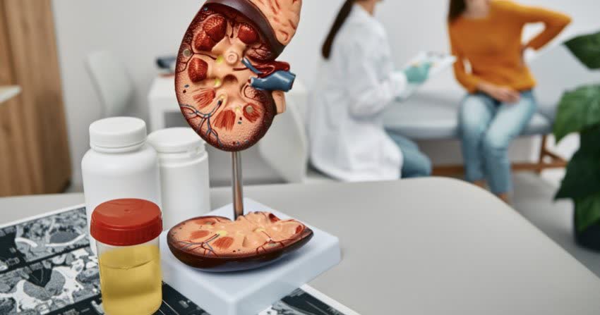 Concetto di malattia renale rappresentato da modellino 2D di rene, esame urine, farmaci, paziente e medico sullo sfondo
