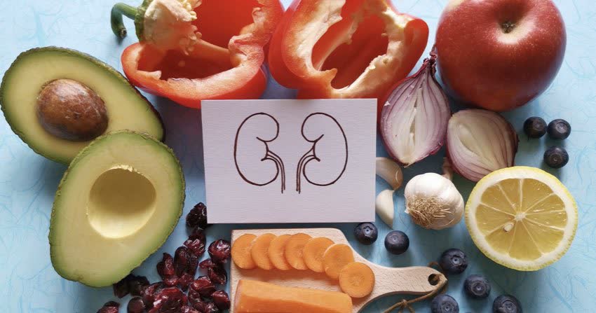 Immagine stilizza di reni con sfondo alimenti utili per dieta a sostegno della salute renale