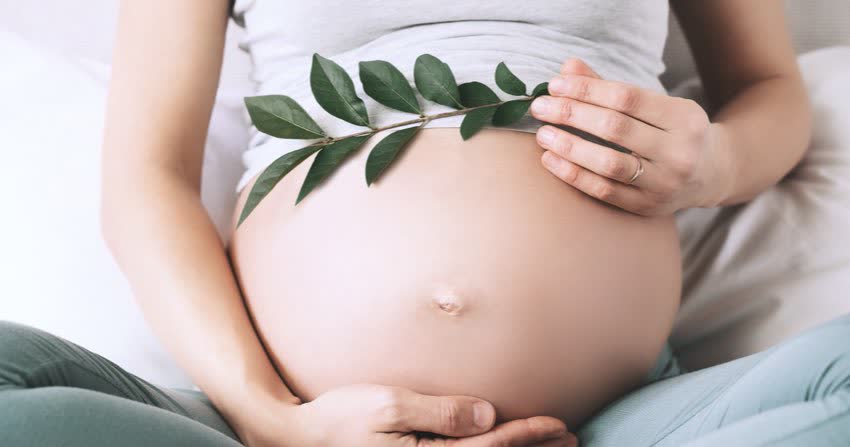 Close up pancia donna incinta con ramoscello che rappresenta assenza di fastidio