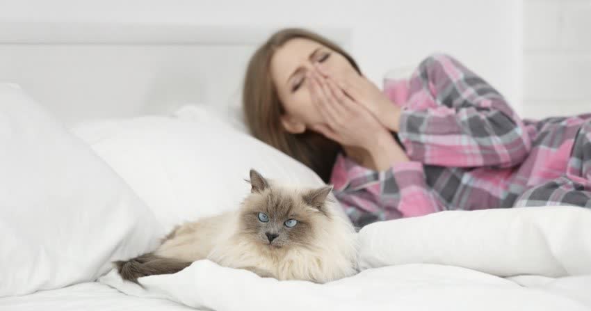 Donna con tosse allergica da pelo di gatto