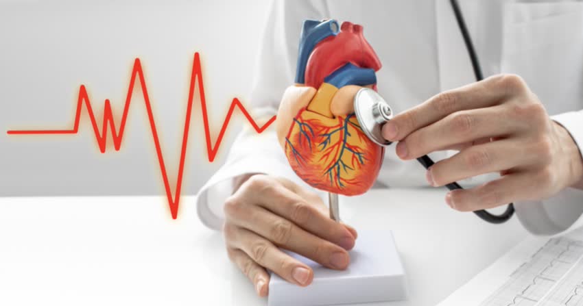 Close up modellino anatomico cuore - tachicardia