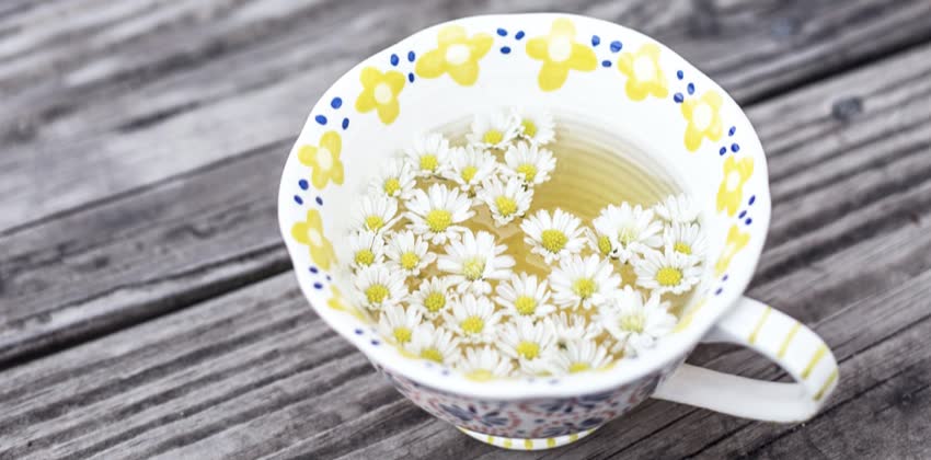 tisane-per-gastrite